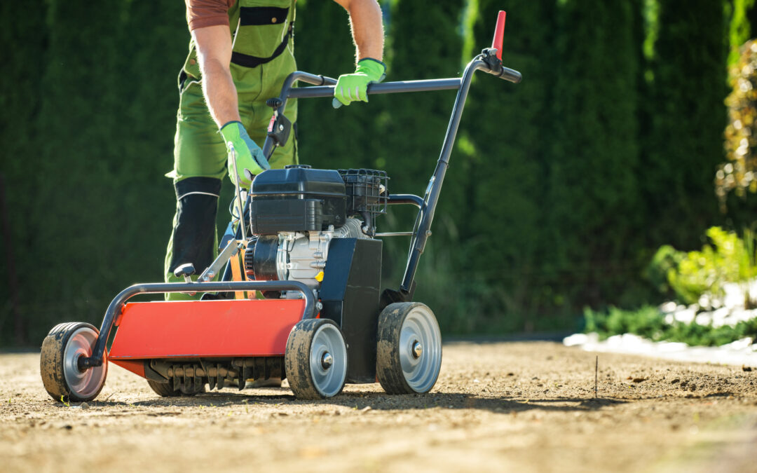 Scarificateur de pelouse : l’équipement idéal au printemps pour un gazon en pleine forme