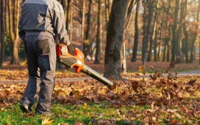 Souffleur de feuilles Charente : quel matériel choisir en automne ?